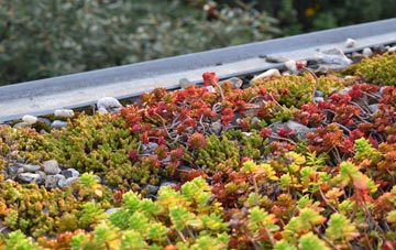 the cost of Caio green roof installation