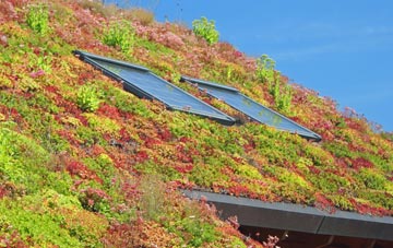 Caio living roof systems