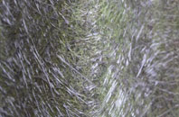 Caio fibreglass roof work